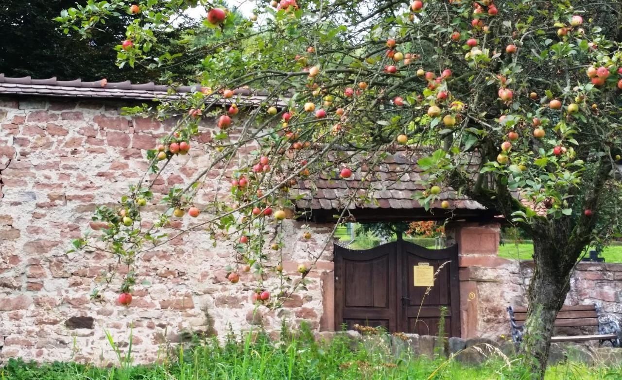 Ferienwohnung Urlaubs Heiligkreuzsteinach Exterior foto