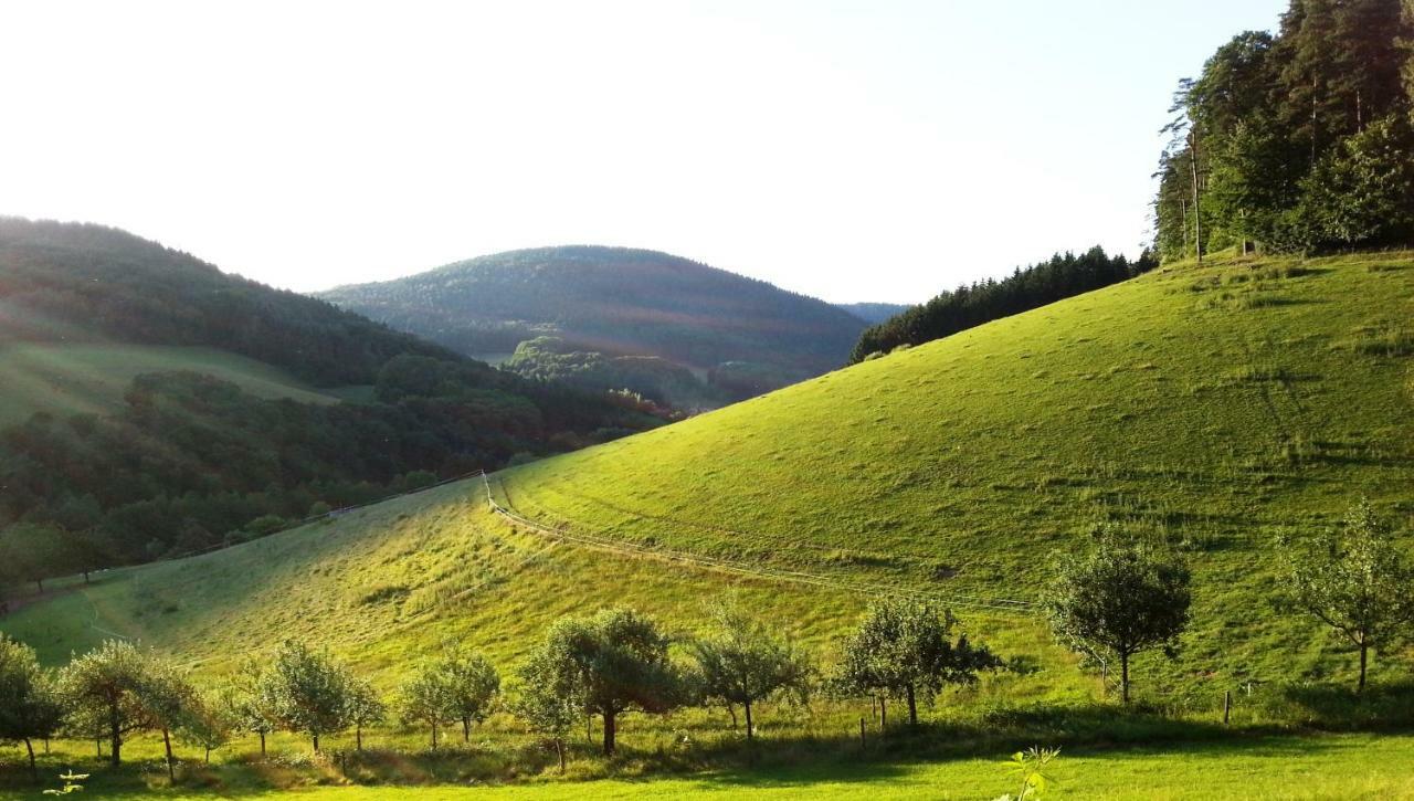 Ferienwohnung Urlaubs Heiligkreuzsteinach Exterior foto